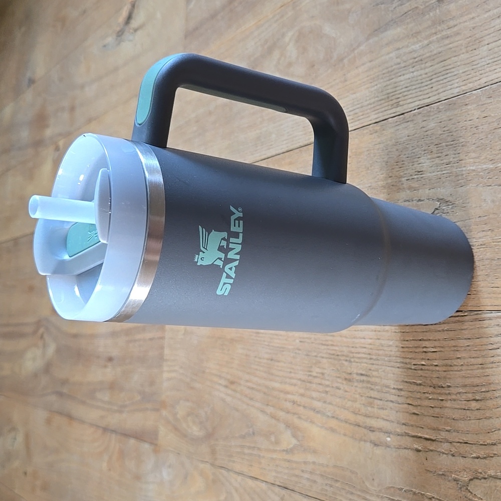 Stanley Charcoal Mug with Mint Accents, 30 Oz